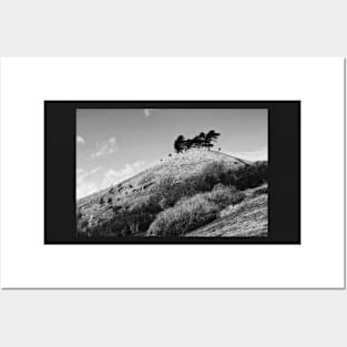 Colmers Hill -  Black and white Posters and Art